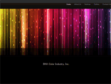 Tablet Screenshot of bnacolorindustry.com